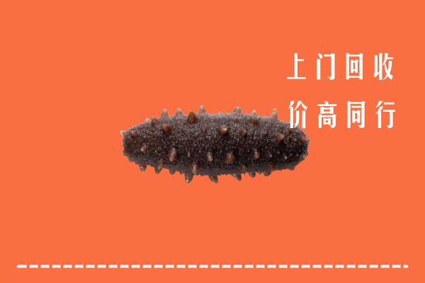 高价求购：晋中灵石县回收海参
