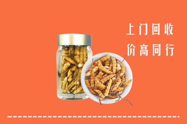 晋中灵石县回收冬虫夏草
